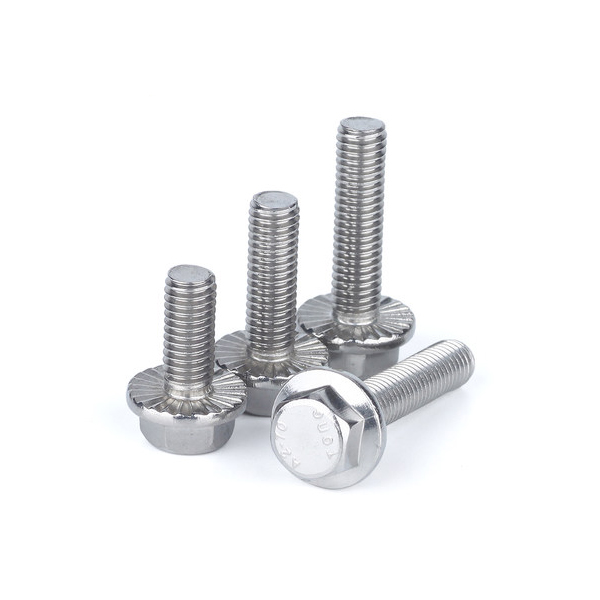 Stainless steel flange screw